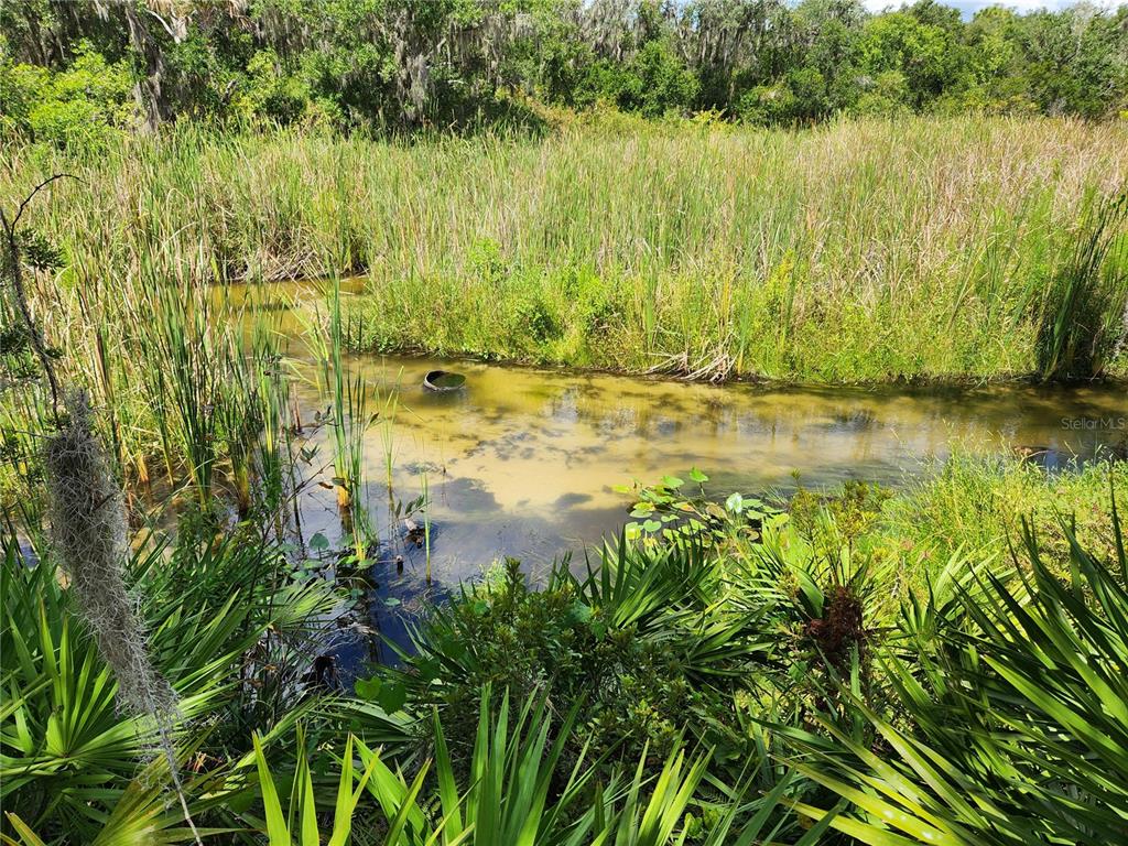 DEER ROAD, FROSTPROOF, FL — photo 2 of 22