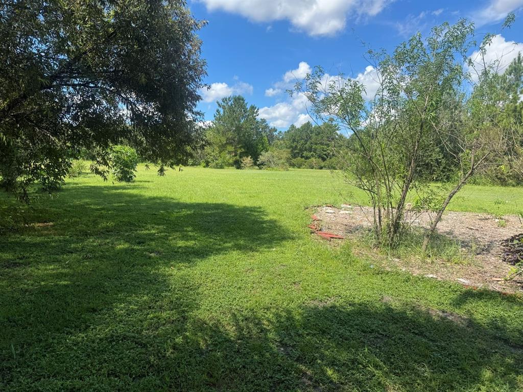 MECCA HAMMOCK TRAIL, SANFORD, FL — photo 2 of 16