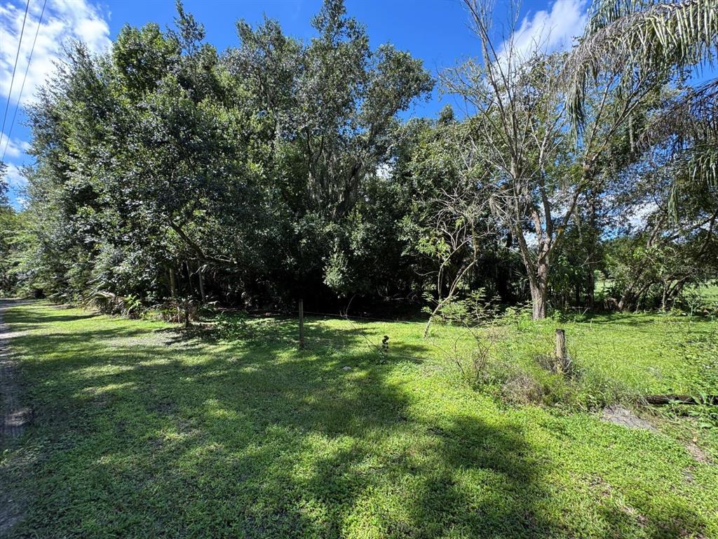 MECCA HAMMOCK TRAIL, SANFORD, FL — photo 4 of 16