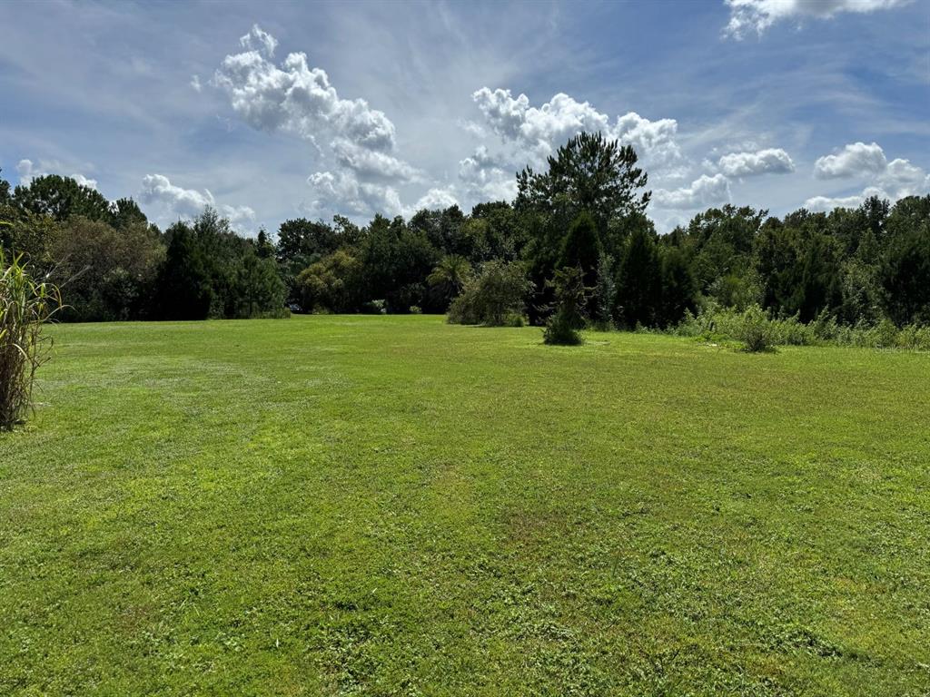 MECCA HAMMOCK TRAIL, SANFORD, FL — photo 5 of 16