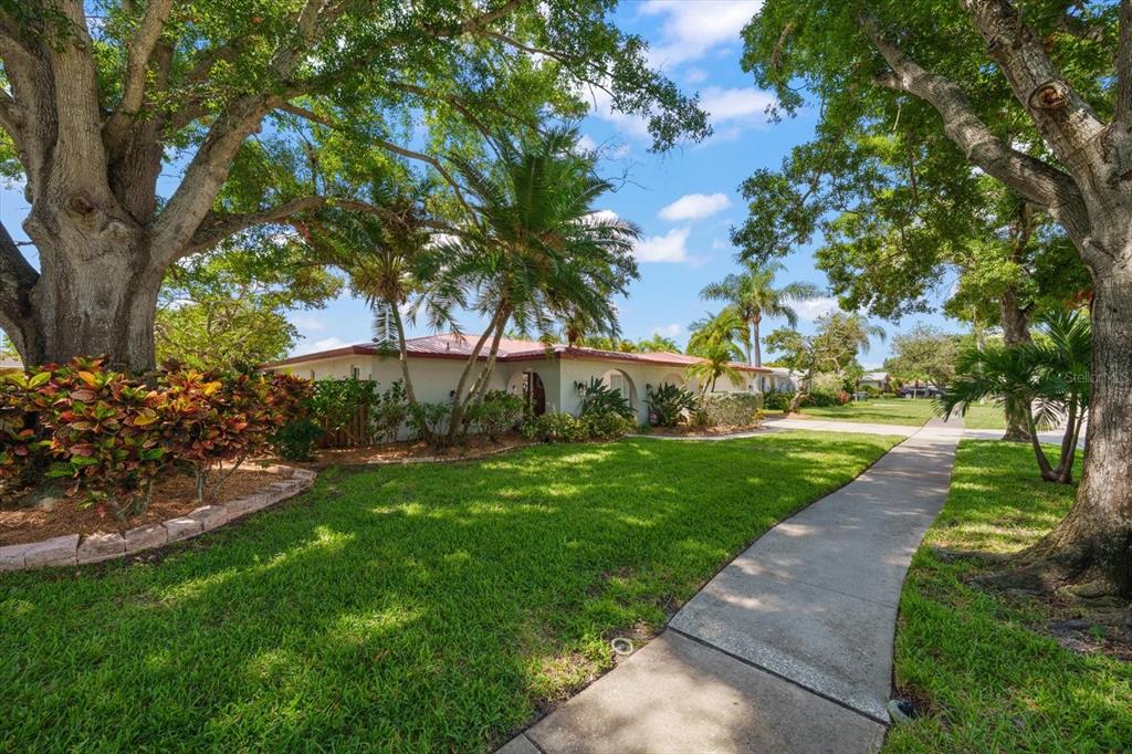 A single-story house with a white exterior and red roof sits behind a grassy lawn — 2126 EGRET DRIVE, CLEARWATER, FL