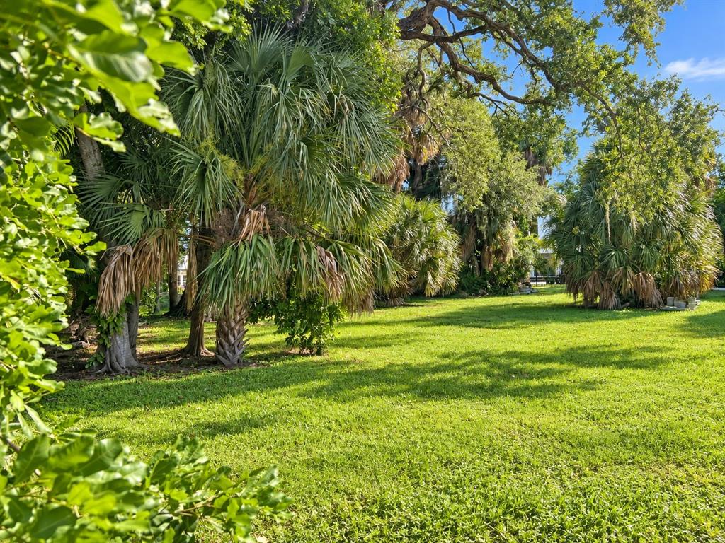 LOT 12 MONTCLAIR DRIVE, SARASOTA, FL — photo 4 of 9