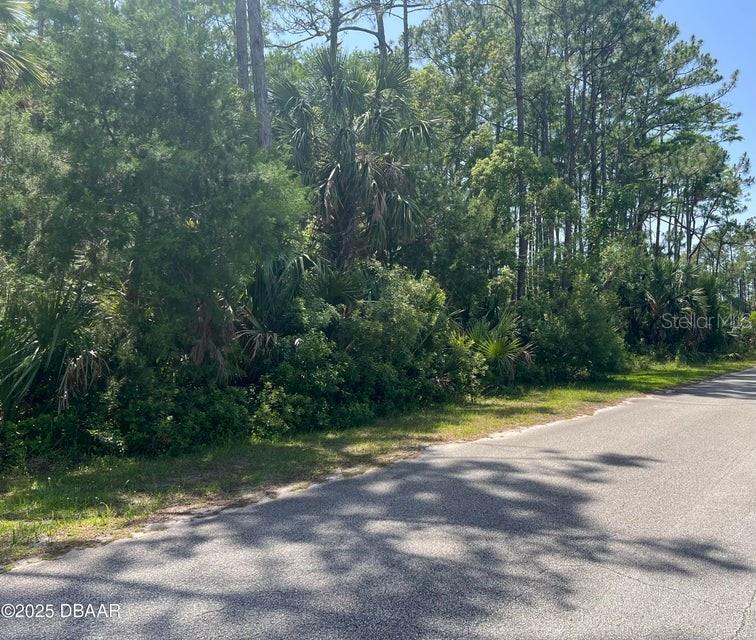 A paved road runs alongside a densely wooded, undeveloped lot with various trees and shrubs — 3 REMINGTON ROAD, ORMOND BEACH, FL