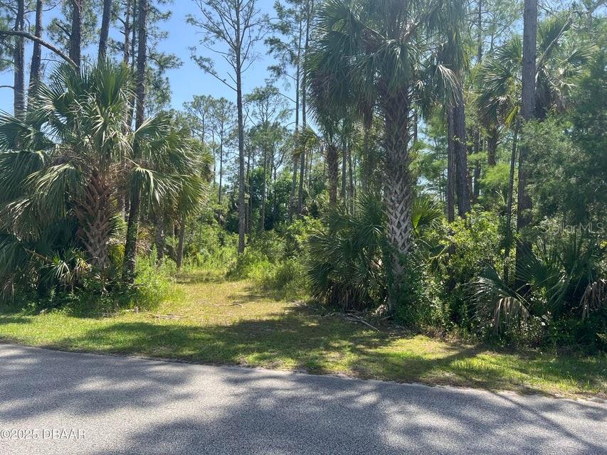 A wooded, undeveloped residential lot with palm trees and pines borders a paved road — 3 REMINGTON ROAD, ORMOND BEACH, FL