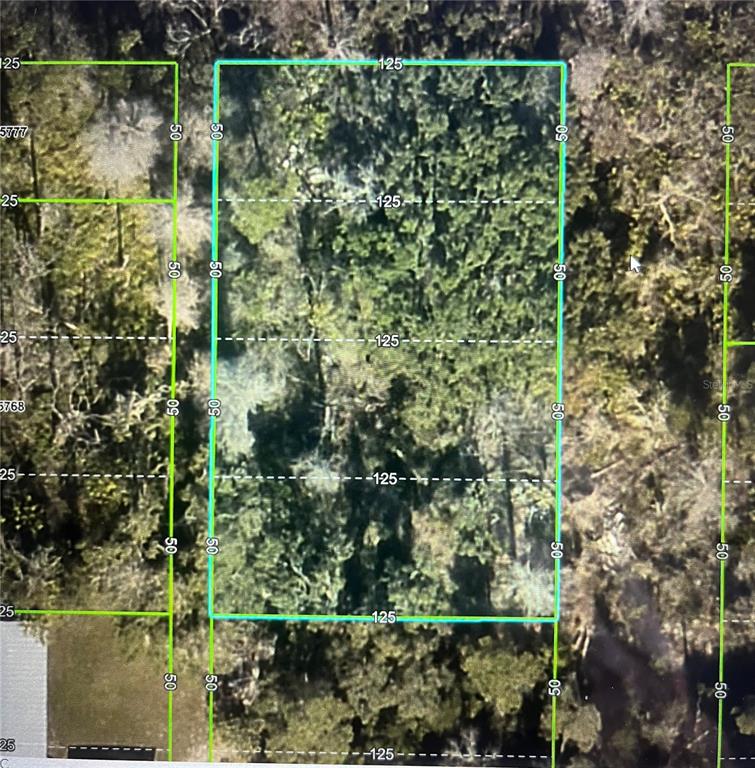 This is an aerial map showing a rectangular plot of land with lot dimensions — LAS PALMAS AVENUE, SPRING HILL, FL