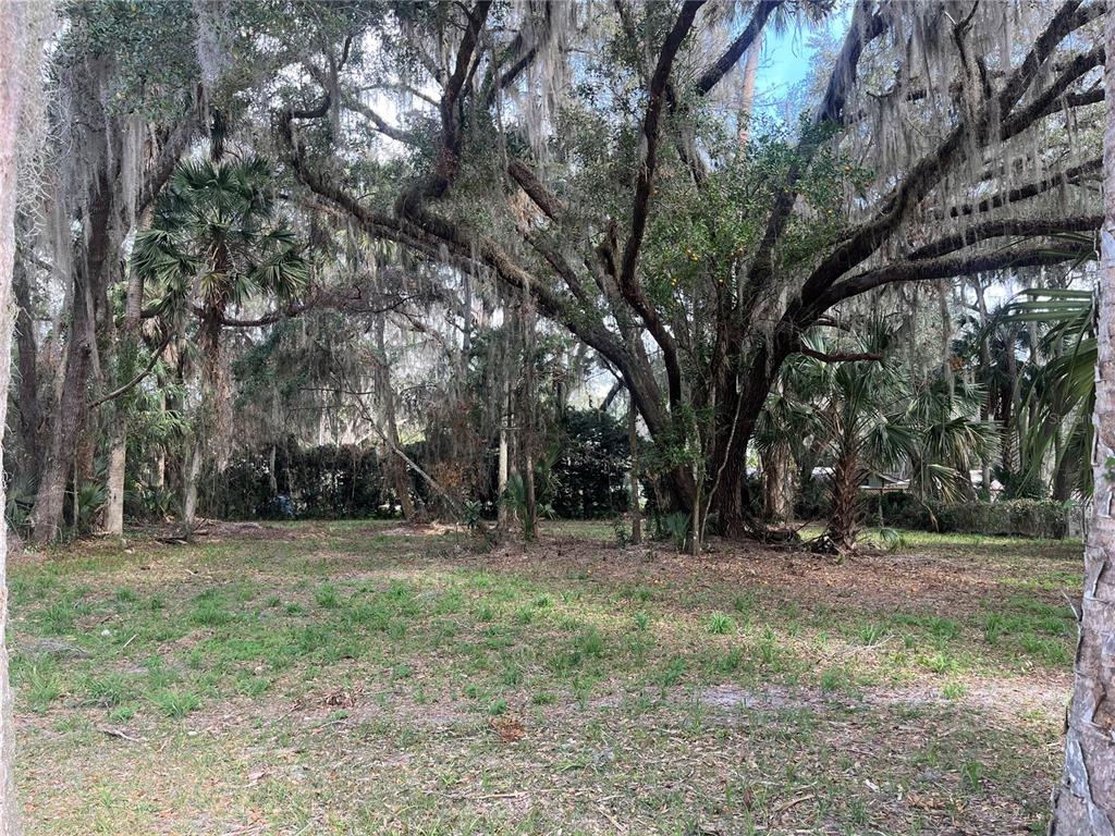 A grassy, partially cleared lot is surrounded by mature trees with hanging Spanish moss — 183RD AVENUE, HAWTHORNE, FL