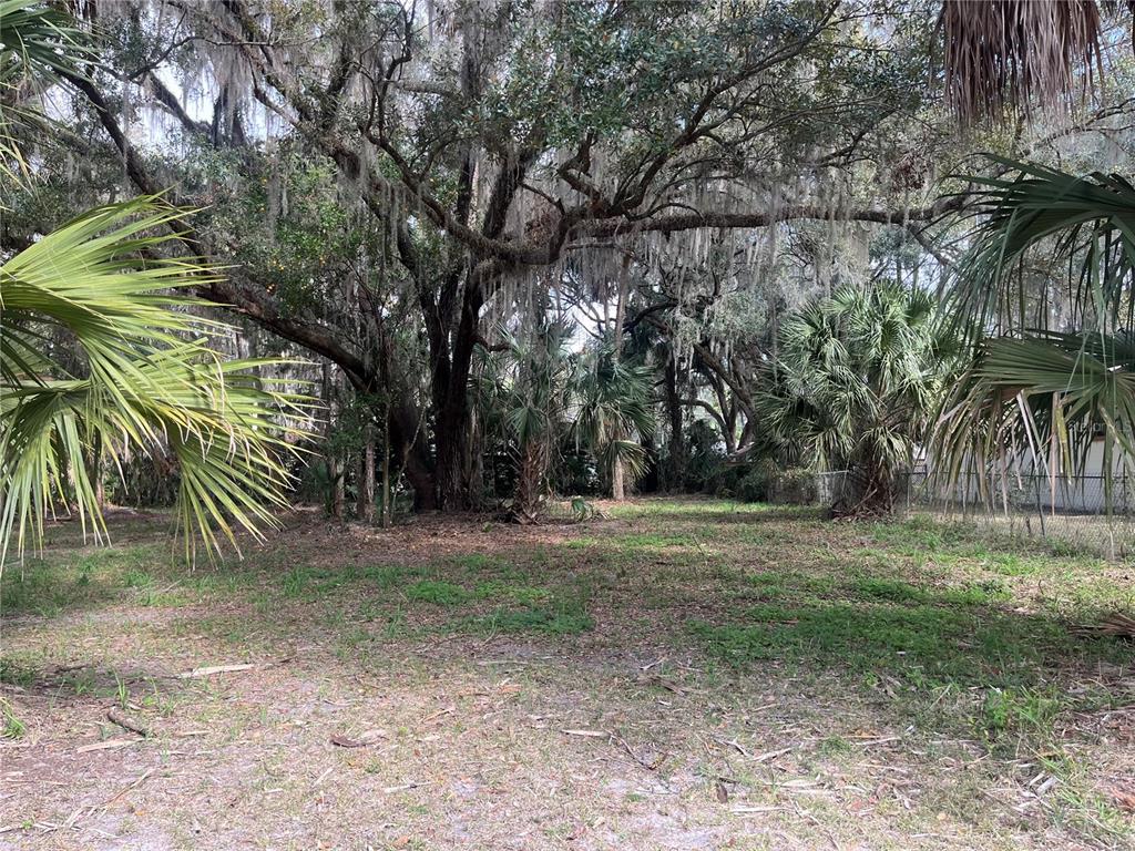 A dirt road leads through a residential area with trees and houses on both sides — 183RD AVENUE, HAWTHORNE, FL