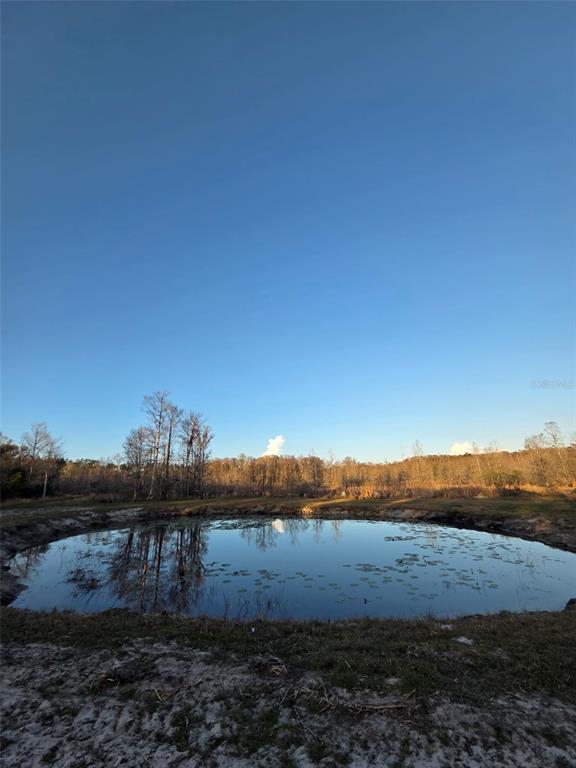A small pond sits in the foreground of a grassy field with trees in the background — 1106 FOX HUNTER RD, PERRY, FL