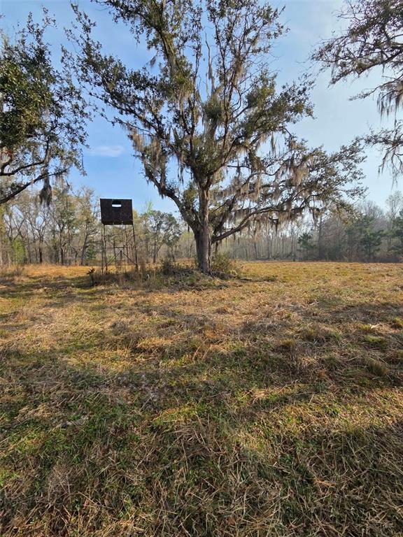 A metal deer stand sits in a grassy field near a large, moss-covered oak tree — 1106 FOX HUNTER RD, PERRY, FL