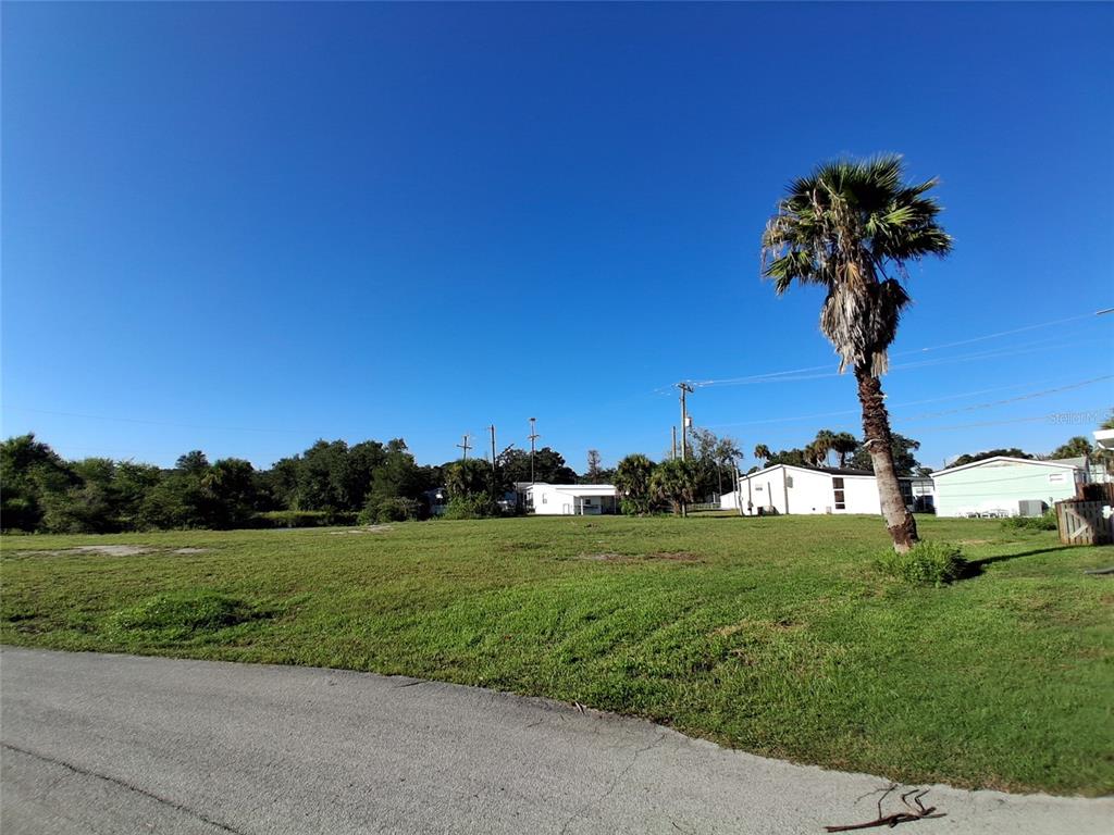 A grassy, vacant lot features a single palm tree under a clear blue sky — 4366 WHITING WAY, EDGEWATER, FL