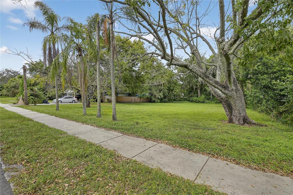 A grassy vacant lot features a large tree and several palm trees along a sidewalk — 5208 E 122ND AVENUE, TEMPLE TERRACE, FL