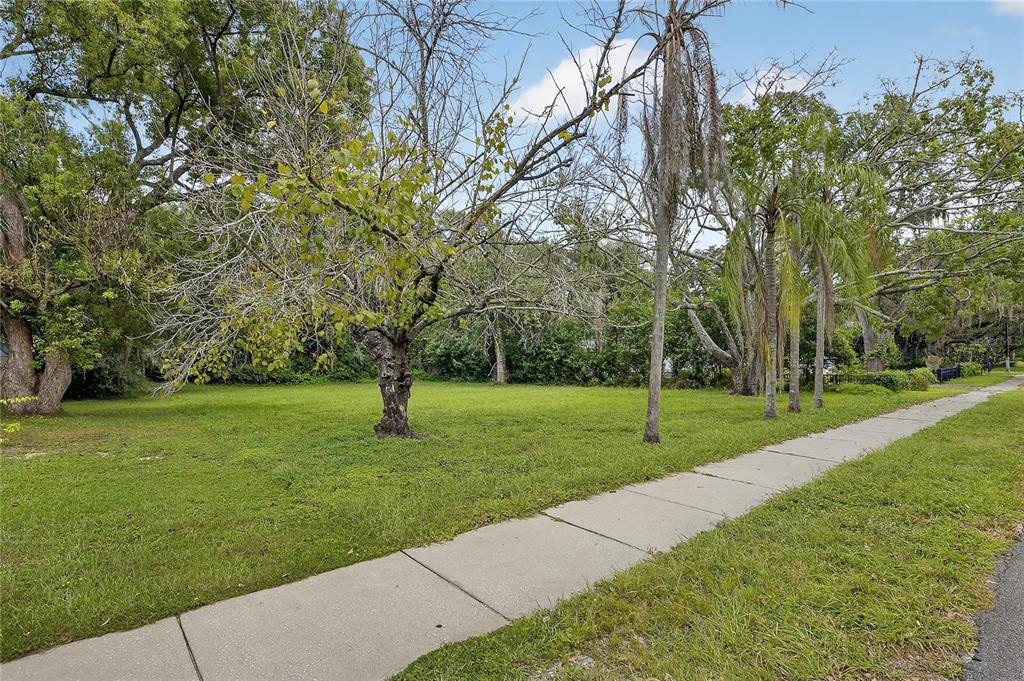A grassy residential lot features a sidewalk, several trees, and dense foliage in the background — 5208 E 122ND AVENUE, TEMPLE TERRACE, FL