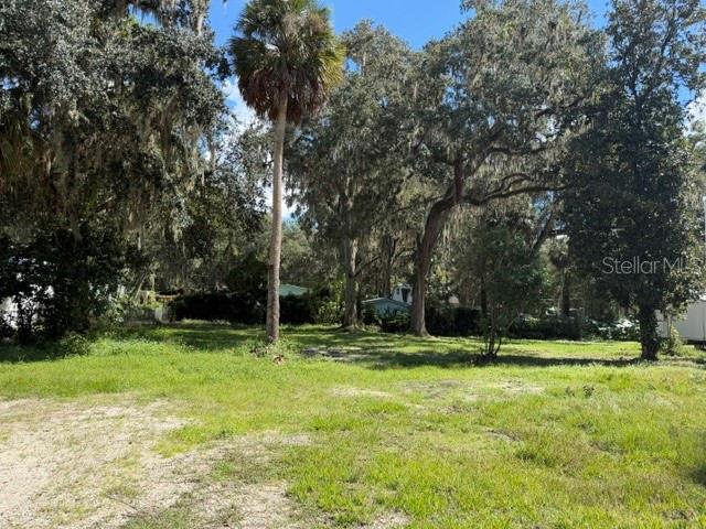 3687 CR 405DW, LAKE PANASOFFKEE, FL — photo 2 of 5