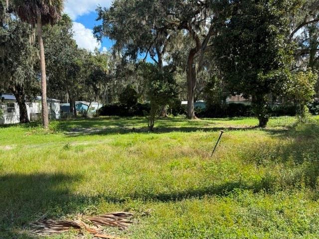 3687 CR 405DW, LAKE PANASOFFKEE, FL — photo 5 of 5