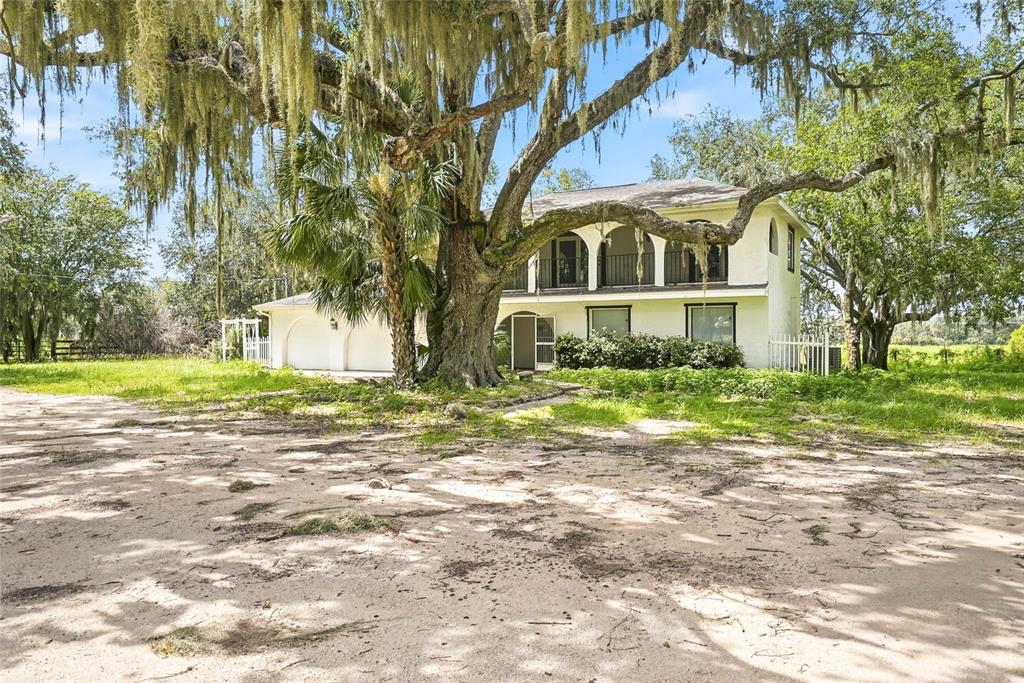 A two-story white house with a balcony stands behind a large, moss-draped oak tree — 8731 LITHIA PINECREST ROAD, LITHIA, FL