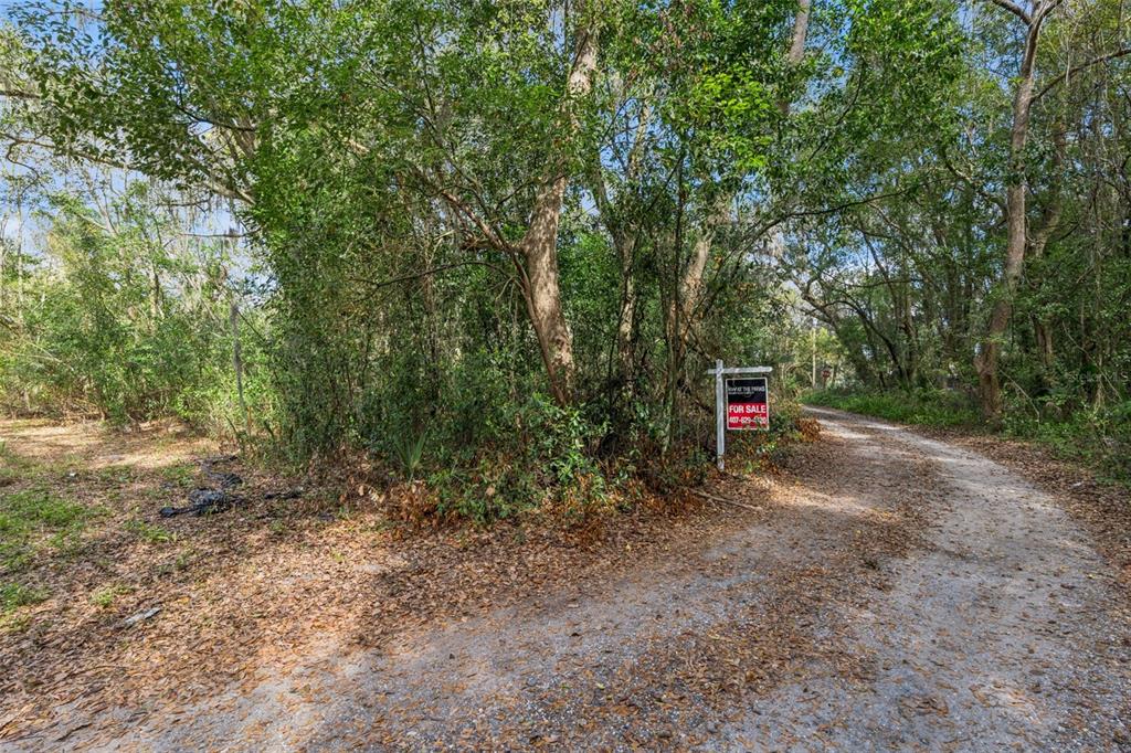 A dirt road leads past a wooded lot with a for sale sign — MECHANIC STREET, MAITLAND, FL