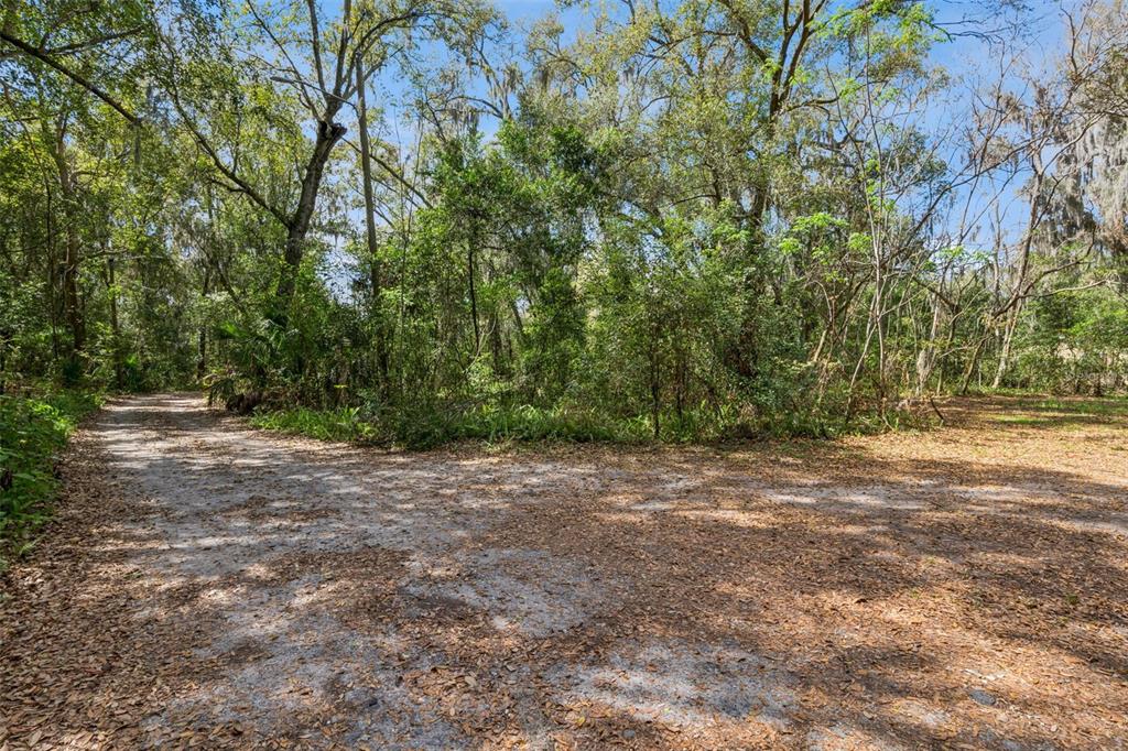 A dirt path leads into a wooded area covered with fallen leaves — MECHANIC STREET, MAITLAND, FL