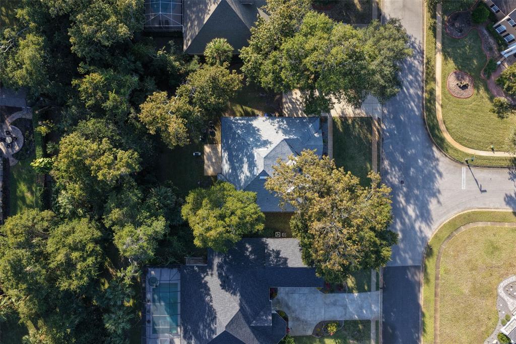 An aerial view shows two houses surrounded by dense trees and a residential street — 21 WHITEHALL COURT, FLAGLER BEACH, FL