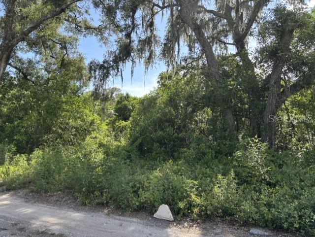A wooded, undeveloped lot with mature trees and dense vegetation sits beside a dirt road — 7157 GLORY ROAD, ZEPHYRHILLS, FL