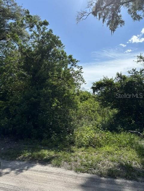A view of a densely wooded, undeveloped lot from an unpaved road — 7157 GLORY ROAD, ZEPHYRHILLS, FL