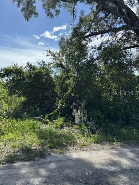 A view of a wooded, undeveloped lot with a dirt road in the foreground — 7157 GLORY ROAD, ZEPHYRHILLS, FL