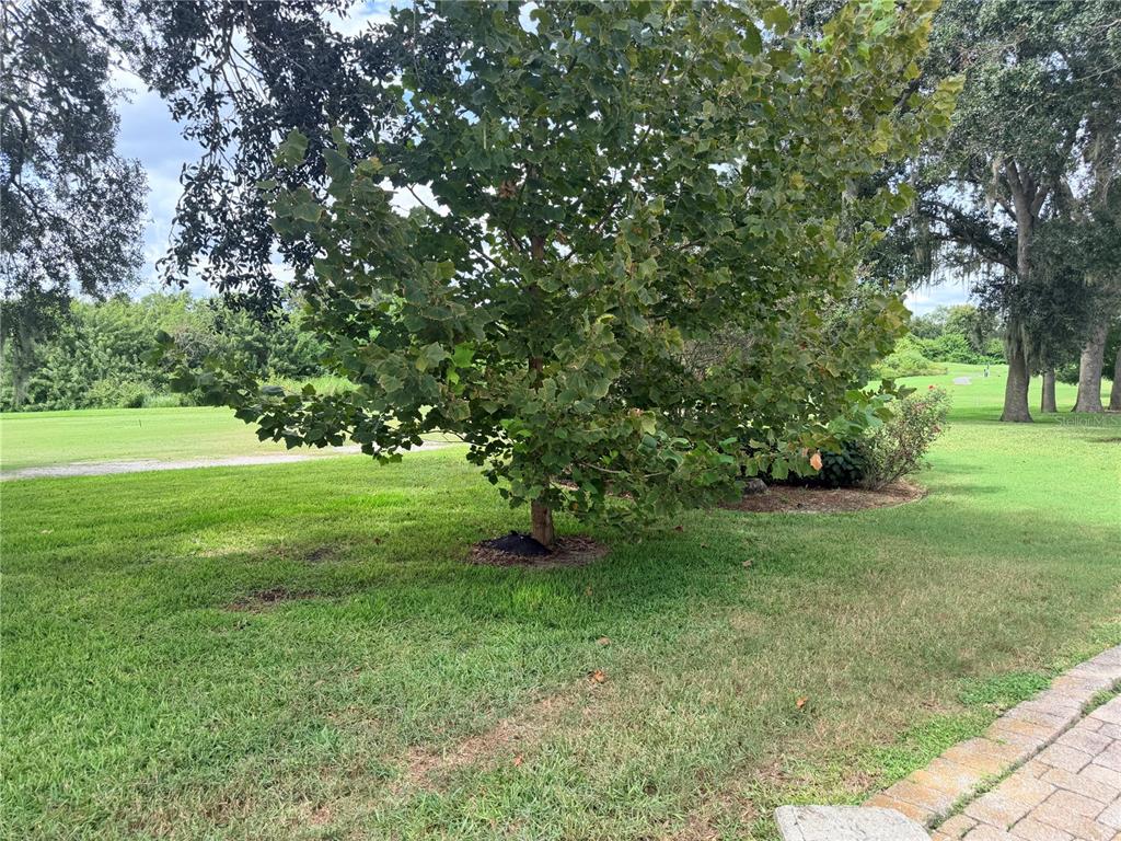 208 GOLF AIRE BOULEVARD, WINTER HAVEN, FL — photo 4 of 13