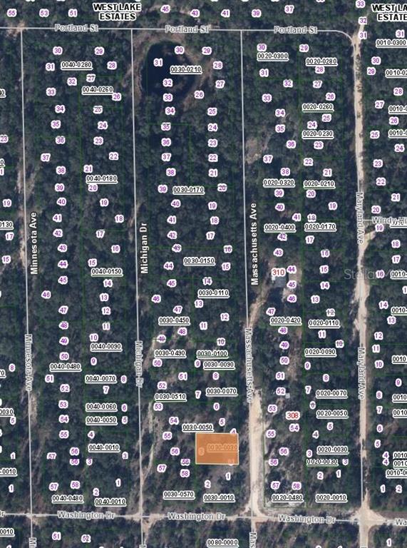 This is a satellite map showing property lot lines and parcel numbers in a residential area — MASSACHUSETTS AVENUE, HAWTHORNE, FL