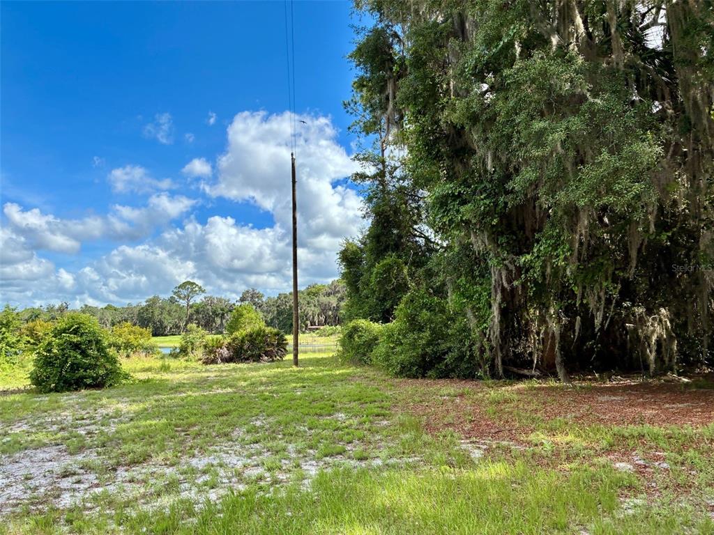 126 LAKE GENEVA ROAD, GEORGETOWN, FL — photo 4 of 12
