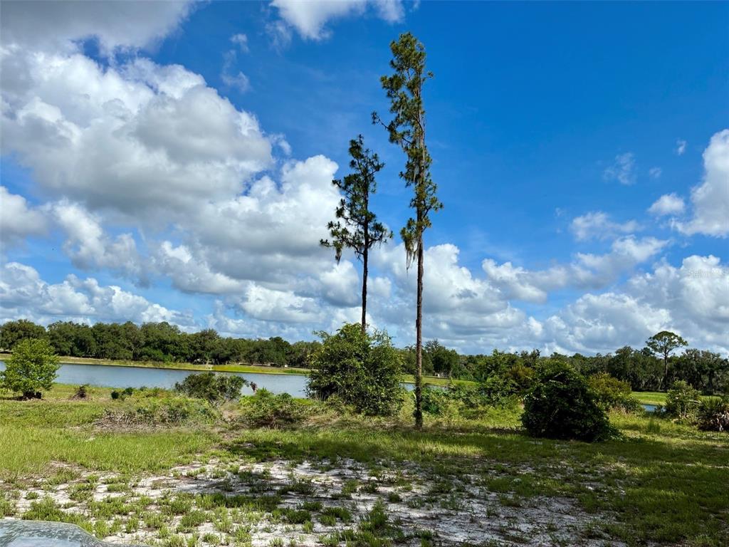 126 LAKE GENEVA ROAD, GEORGETOWN, FL — photo 5 of 12