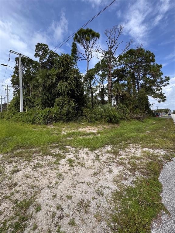 2330 HIBISCUS DRIVE, EDGEWATER, FL — photo 3 of 5