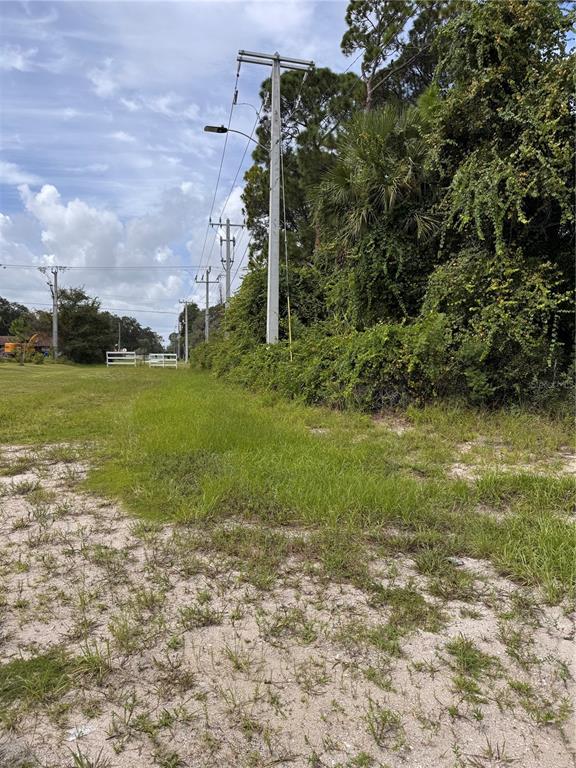 2330 HIBISCUS DRIVE, EDGEWATER, FL — photo 4 of 5