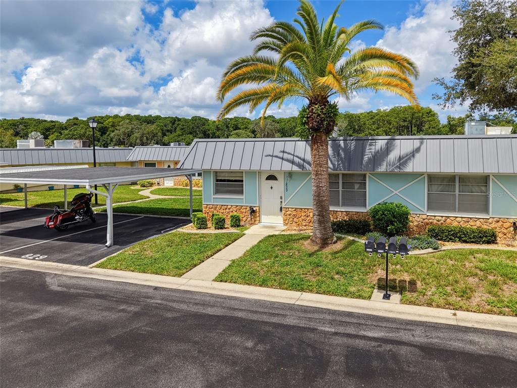 A light blue single-story house features a metal roof, stone accents, and a palm tree — 11829 CARISSA LANE, NEW PORT RICHEY, FL
