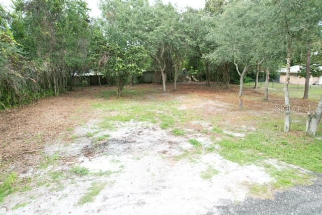 LUELLA AVENUE, PAISLEY, FL — photo 2 of 8