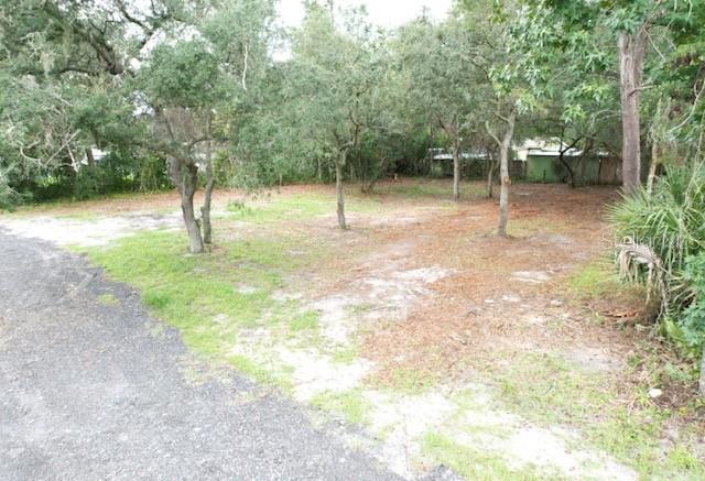 LUELLA AVENUE, PAISLEY, FL — photo 3 of 8