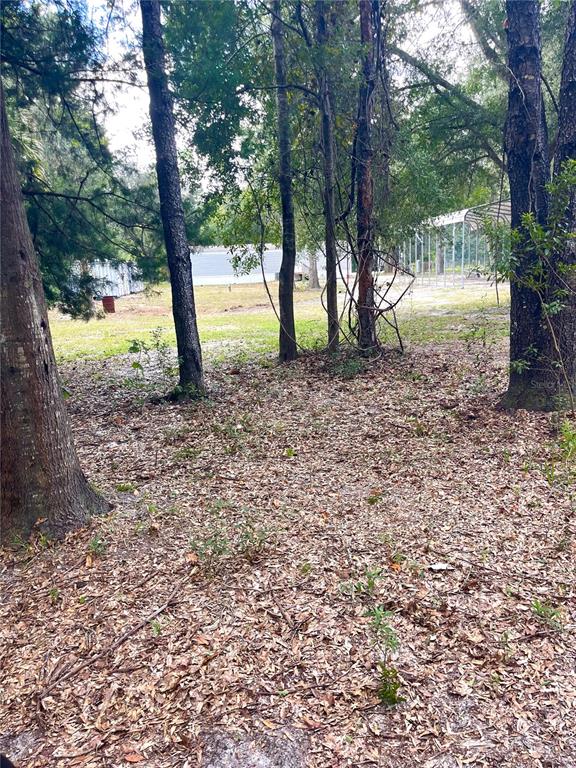 7231 NW 28TH LANE, CHIEFLAND, FL — photo 5 of 30