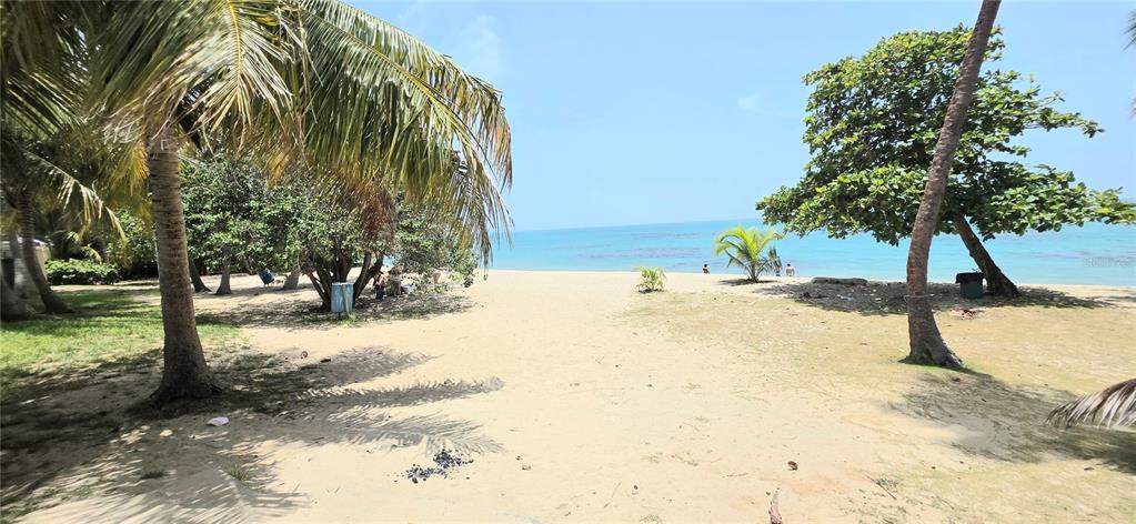 A sandy path leads through palm trees and vegetation to a beach and the ocean — Carr. 187 KM 23.6 AQUATIKA A-8 UNIT 1601, LOIZA, PR
