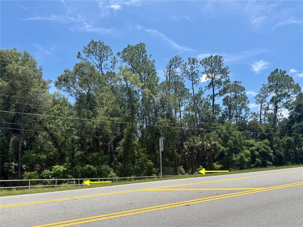 A paved road runs alongside a wooded lot bordered by a metal guardrail — LOT 14 STATE ROAD 44, EUSTIS, FL