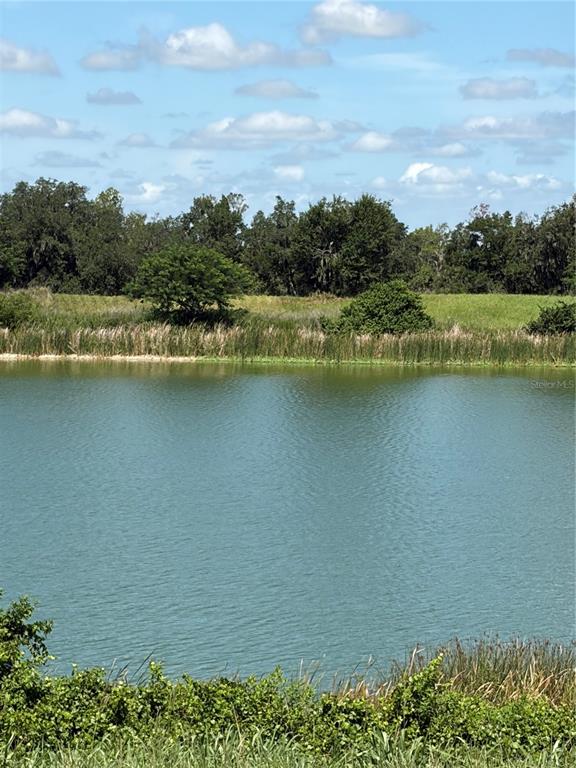 An aerial view shows a grassy field with scattered trees bordering a green lake — 10349 COUNTY ROAD 555, FORT MEADE, FL