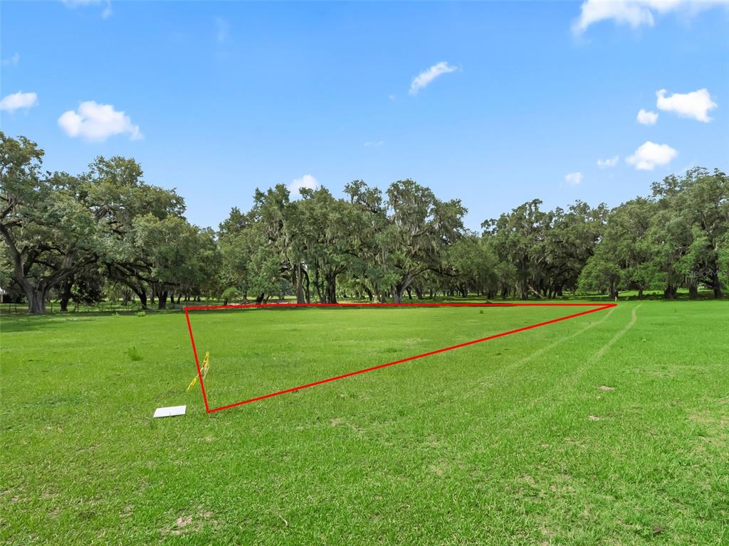 A grassy, open field is outlined in red with mature oak trees in the background — Lot 11 CR 543, BUSHNELL, FL