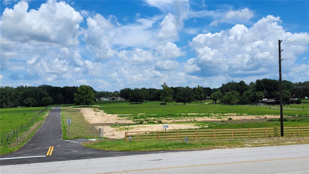 A dirt road leads through a cleared, grassy lot with a large tree — 0 CHRISTIAN ROAD Lot 2, DADE CITY, FL
