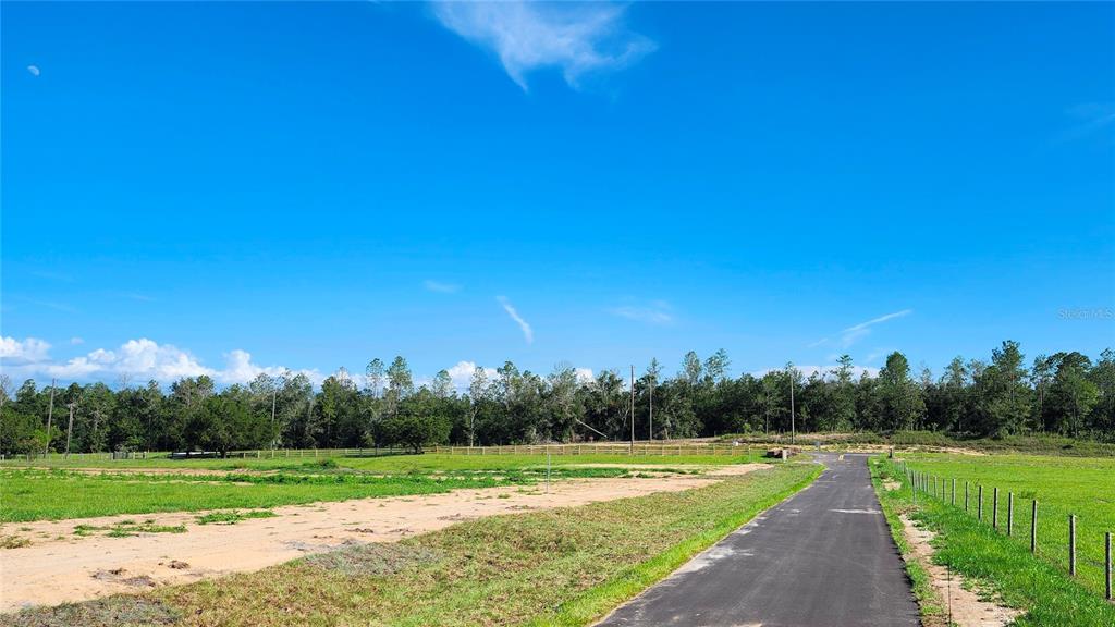 A large, grassy field features two prominent trees and orange construction fencing under a sky — 0 CHRISTIAN ROAD Lot 2, DADE CITY, FL