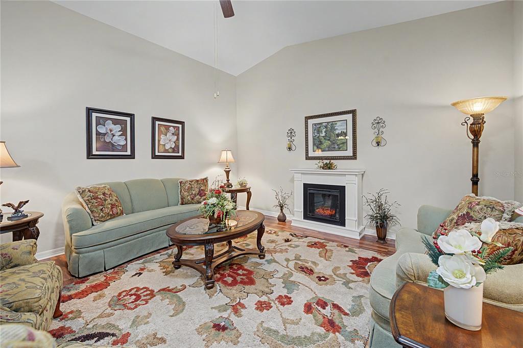 A living room features a fireplace, a floral area rug, and sage green upholstered furniture — 6783 BASSWOOD CIRCLE, ZEPHYRHILLS, FL