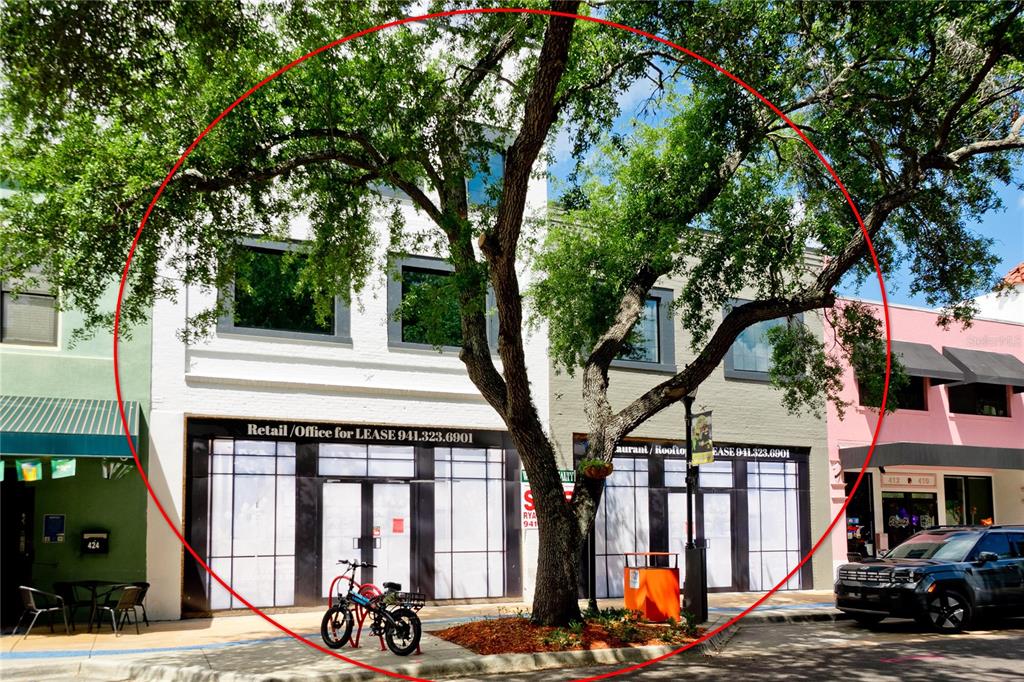 A multi-story commercial building with retail space for lease stands behind a large shade tree — 420 12TH STREET W, BRADENTON, FL