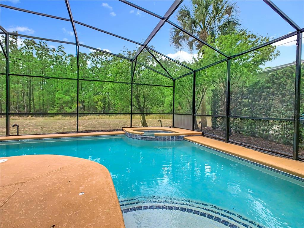 A swimming pool and spa enclosed by a screened lanai overlooking a wooded area — 574 TUPELO CIRCLE, DAVENPORT, FL