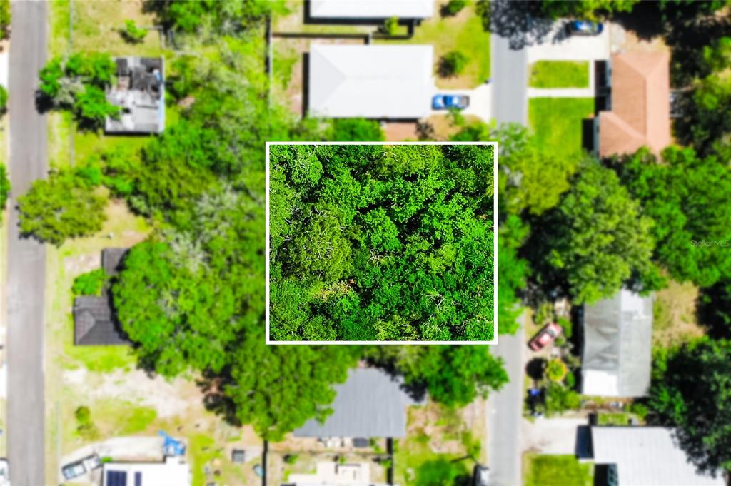 An aerial view shows a wooded residential lot surrounded by houses and streets — 1028 COLLIER BOULEVARD, ST AUGUSTINE, FL