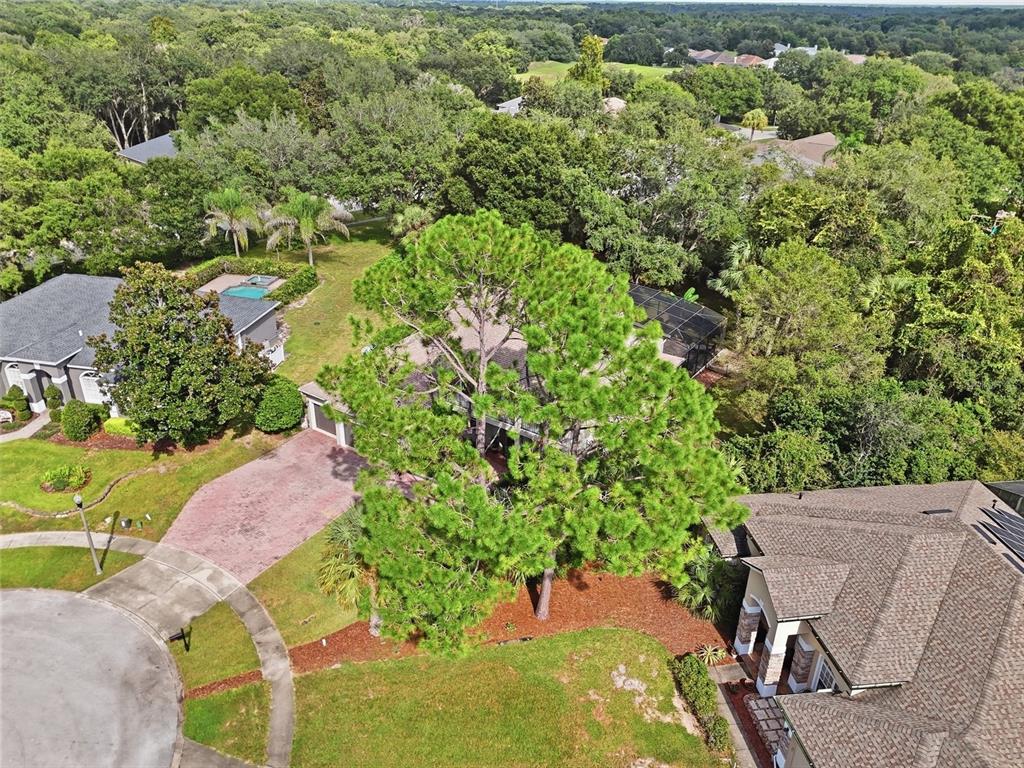 An aerial view shows a suburban house with a large pine tree in the front yard — 3441 MALLAIG COURT, APOPKA, FL
