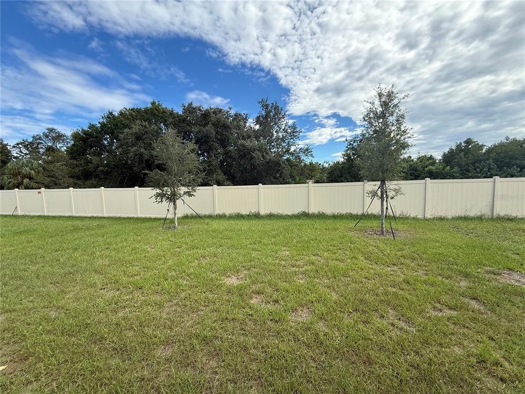 A grassy backyard features two young trees and a tall white vinyl privacy fence — 5377 MADDIE DRIVE, HAINES CITY, FL