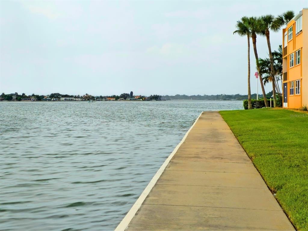 A concrete walkway runs along a grassy lawn beside a body of water with palm trees — 7560 BAY ISLAND DRIVE S UNIT 146, SOUTH PASADENA, FL