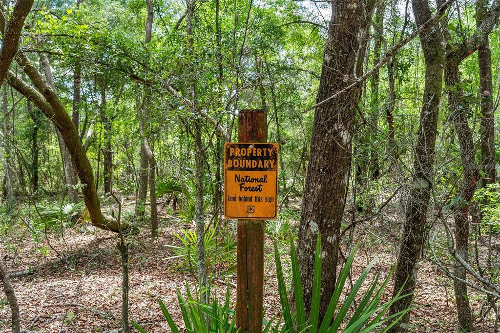 A sign marking a national forest property boundary stands in a wooded area — SE 152ND - (RAVENSWOOD RD) PARCEL B & C, LOTS 16, 17 PLACE, ALTOONA, FL