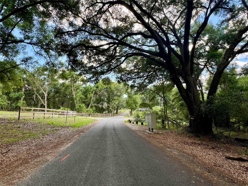 A paved road leads through a tree-lined area with a wooden fence and mailbox — SE 152ND - (RAVENSWOOD RD) PARCEL B & C, LOTS 16, 17 PLACE, ALTOONA, FL